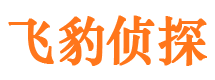 上甘岭市婚姻调查